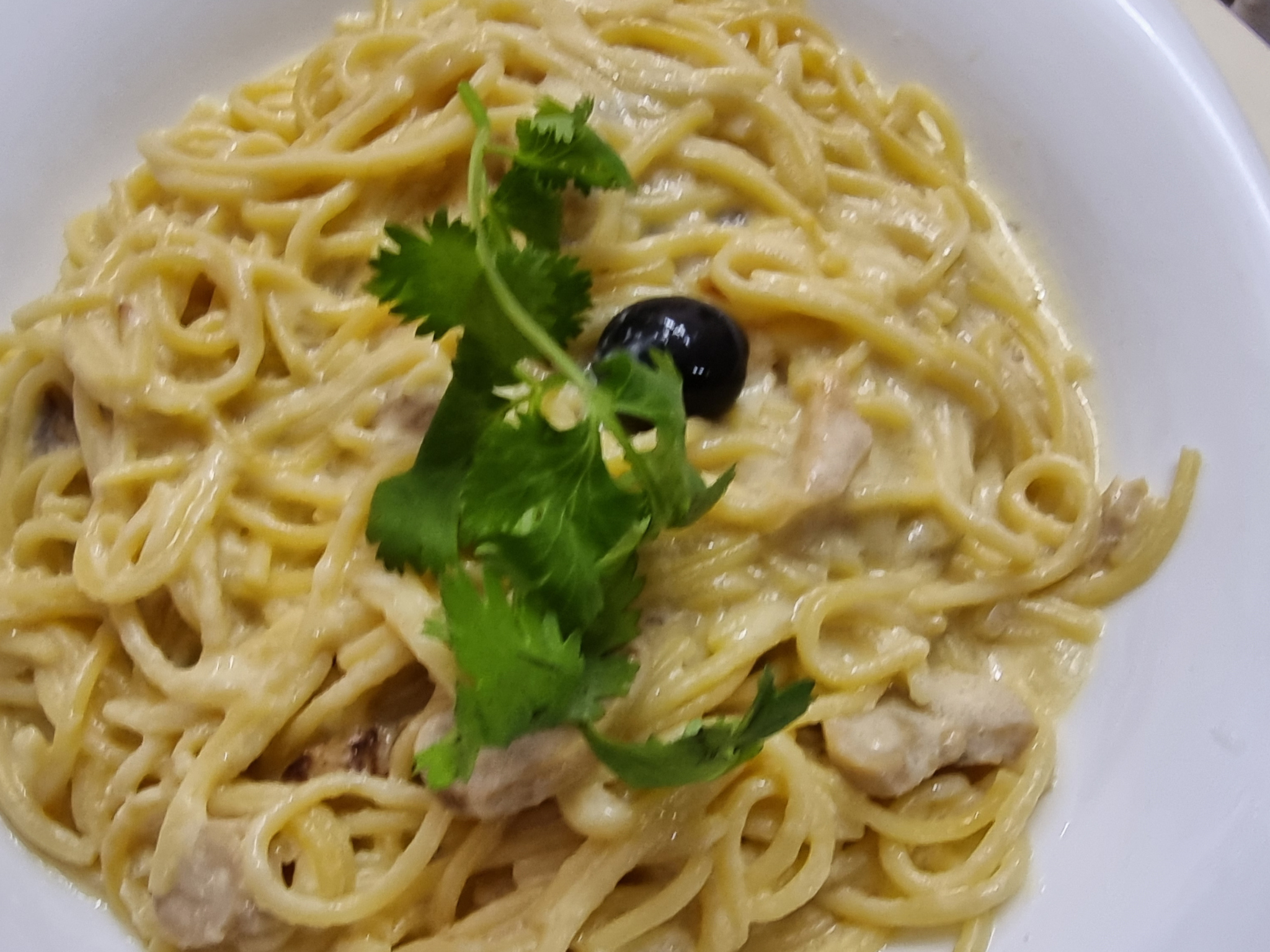 Creamy White Sauce Pasta with Chicken and Mushrooms